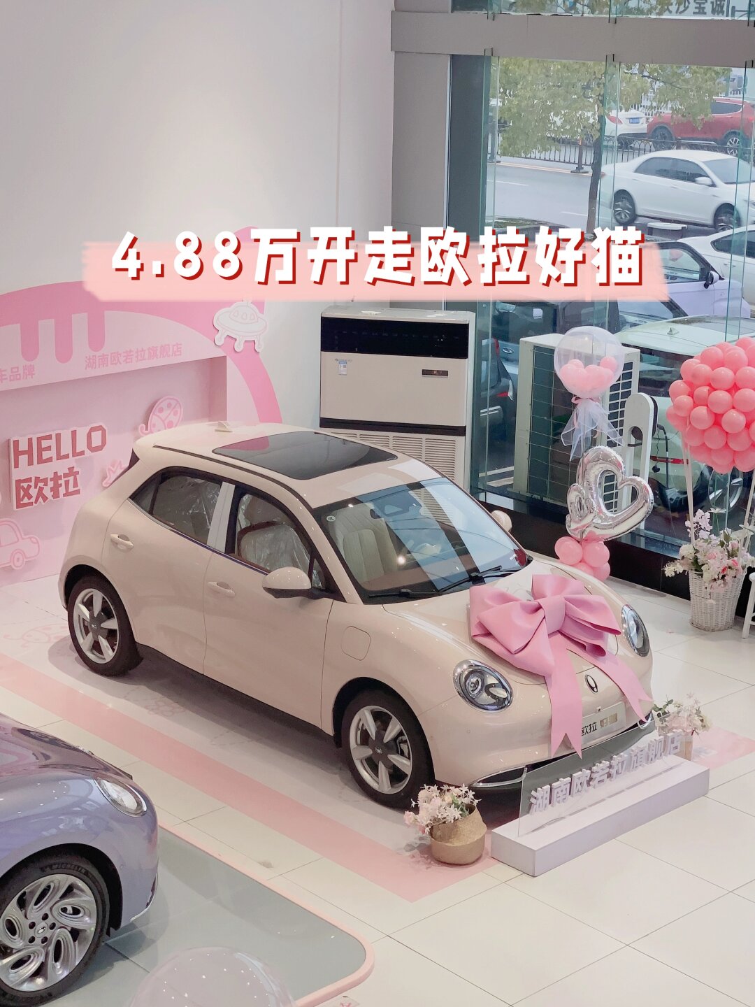 多彩外观  万人米清新脱俗 奶油绿甜美可爱