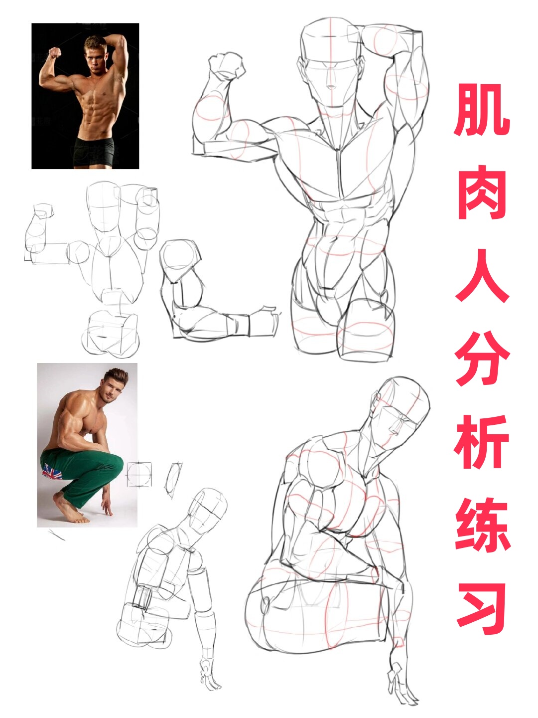 让我们一起在绘画的世界里,探索人体结构的奥秘!