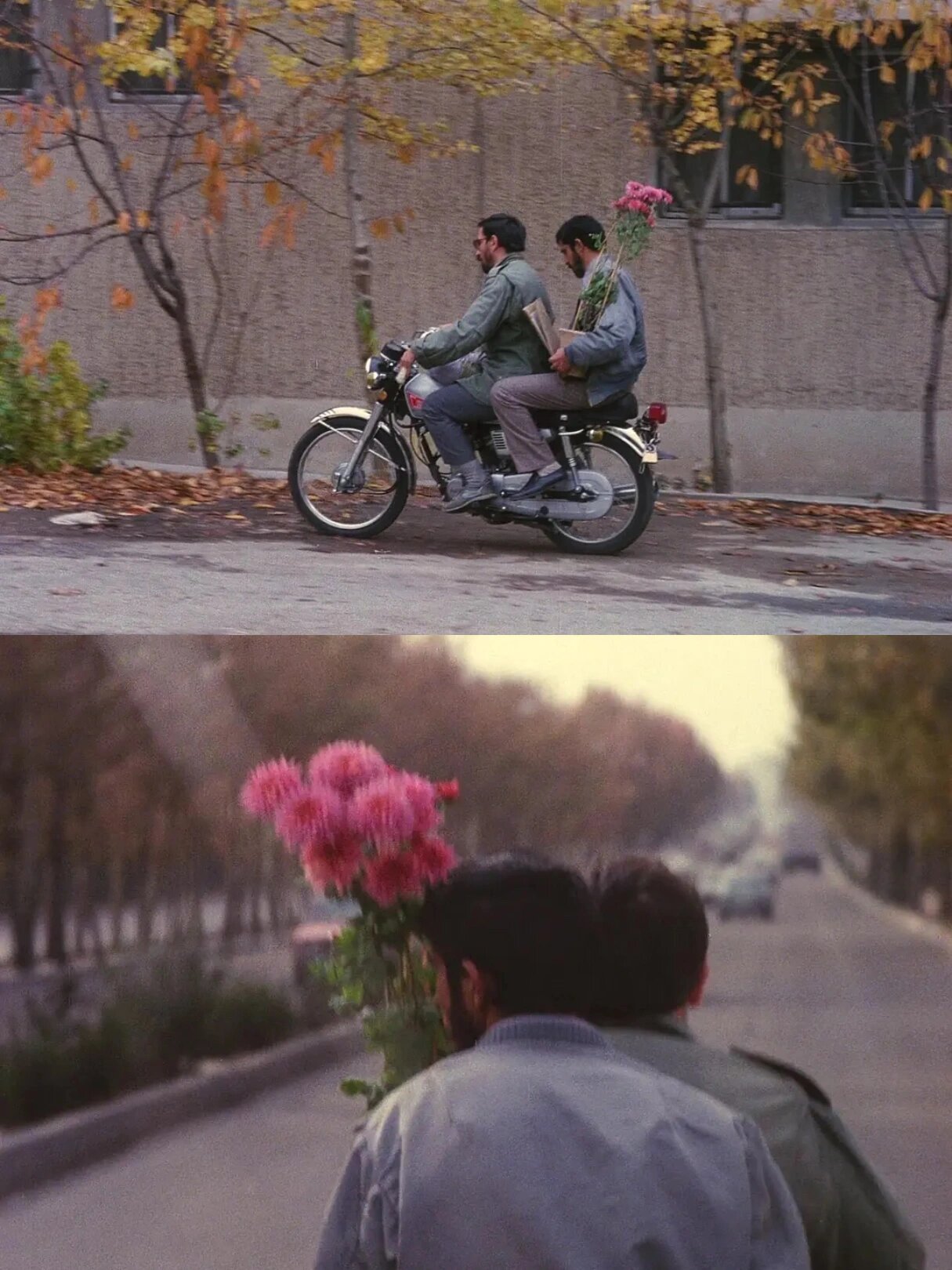 我看过最美的电影:《特写》