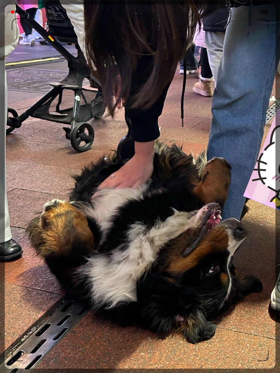 是谁摸到了大脚伯医生  嘻嘻嘻嘻是我!01 宝宝真的好可爱!