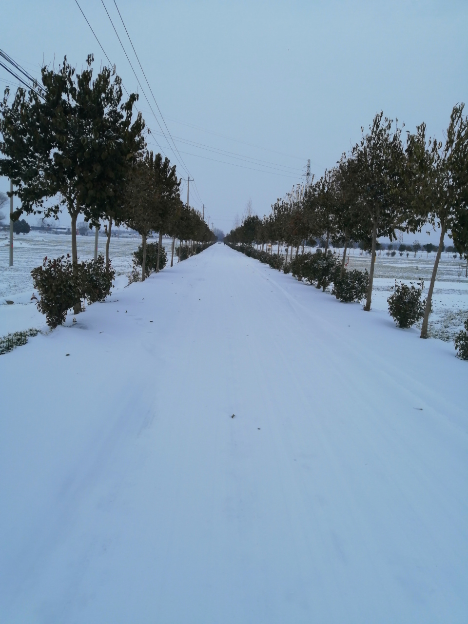 乡村大雪纷飞雪景图片图片