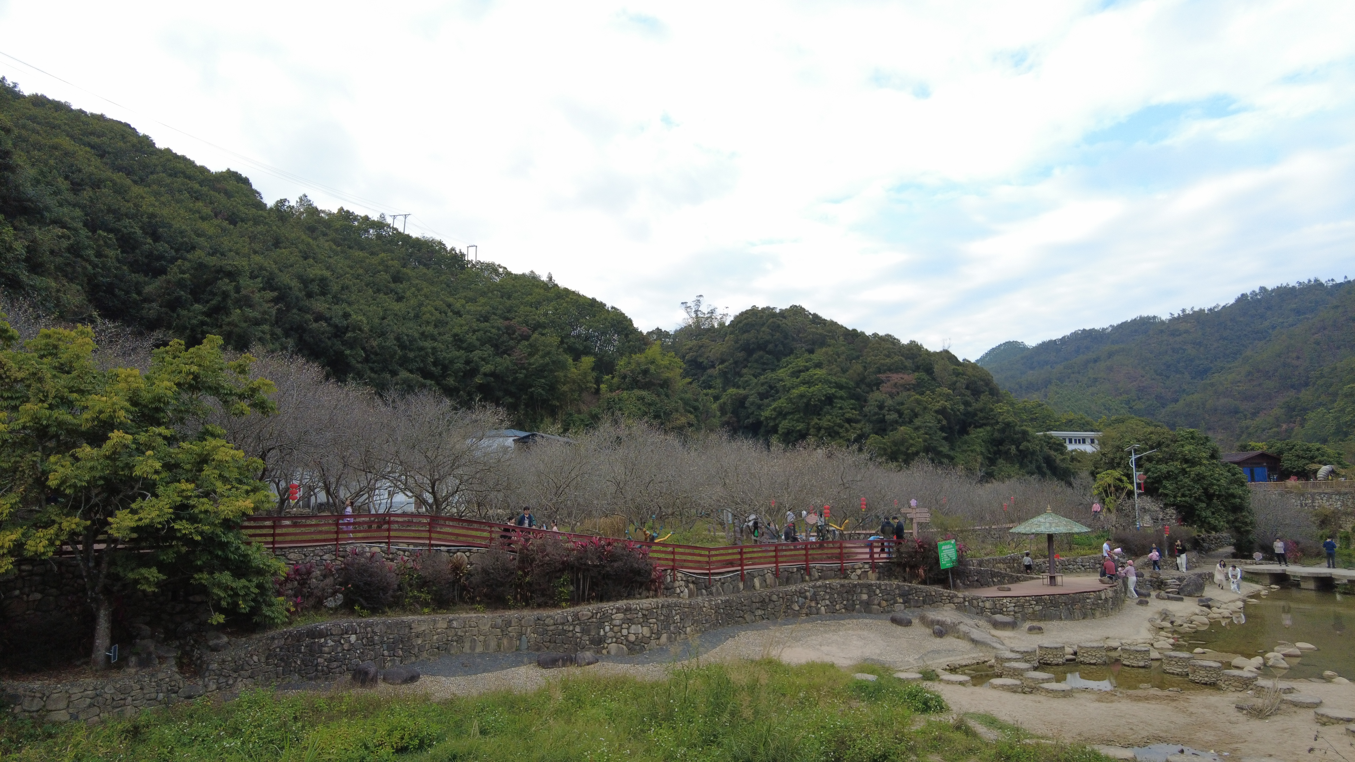 陆河梅花景色旅游区图片