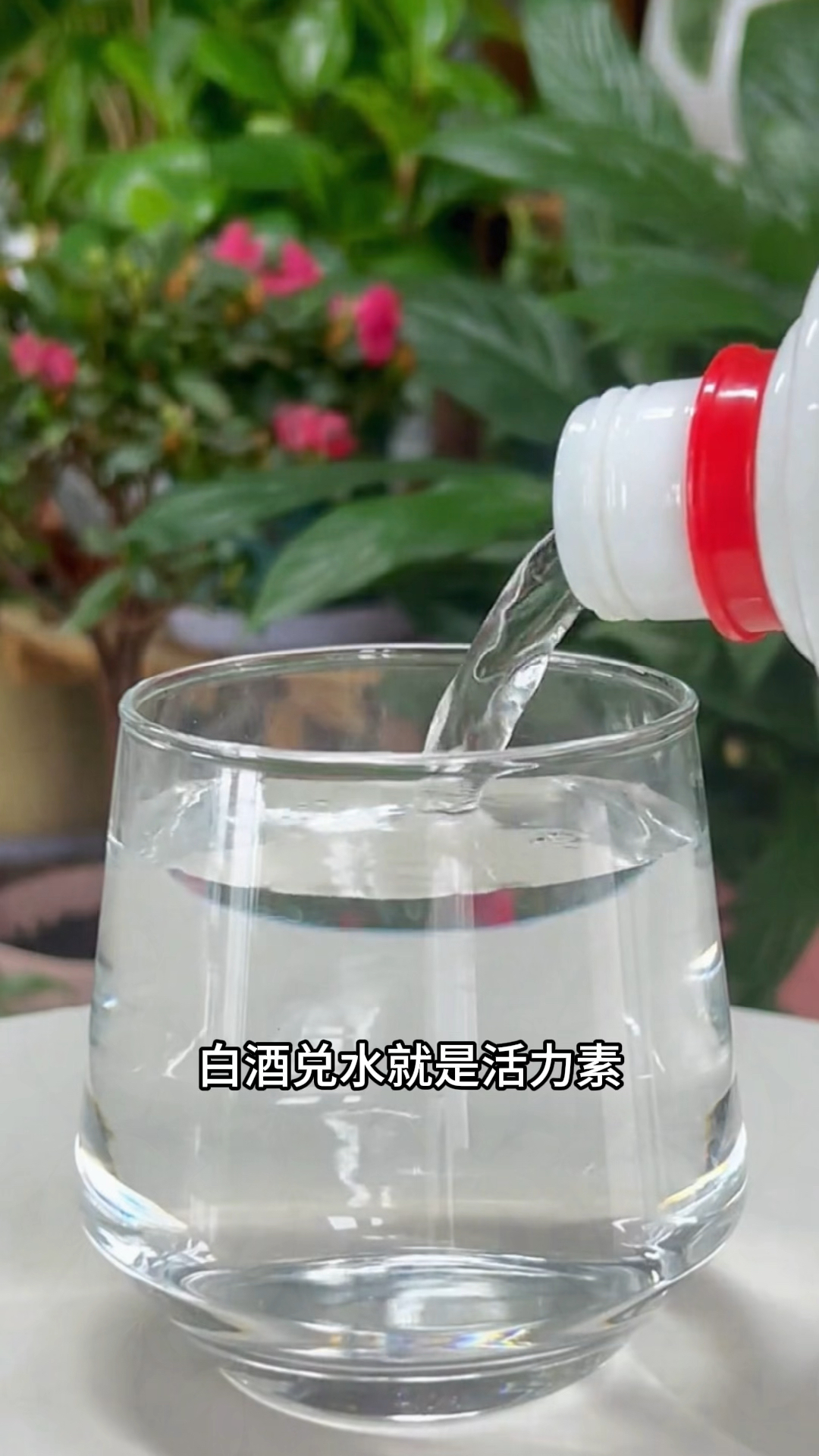 养花小知识记不住点赞加关注