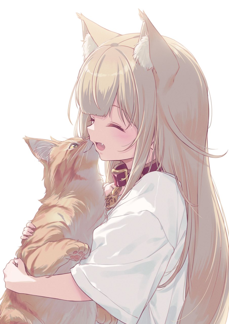 二次元# 40原老师的猫猫