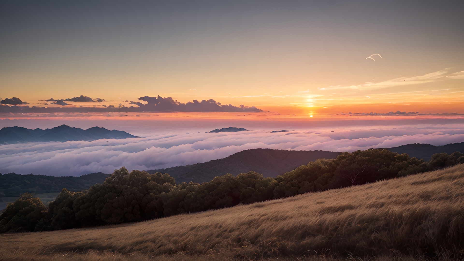 "绝美日落风景照:沉浸在金色天际线的无尽魅力中"
