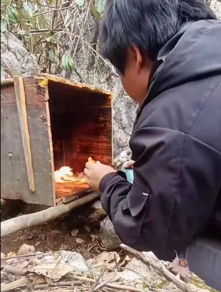 农工放置诱蜂箱石头下是最好的诱蜂位置老师傅们说是不是