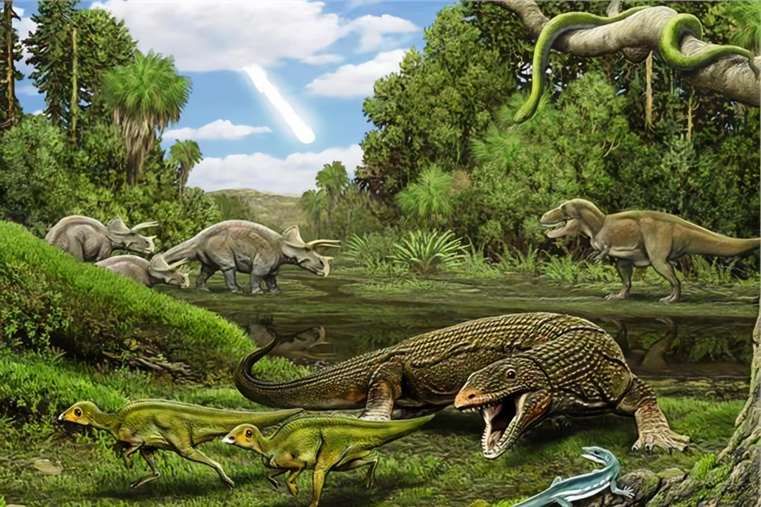 大灭绝每6500万年发生一次?科学家算了一下,刚好轮到人类