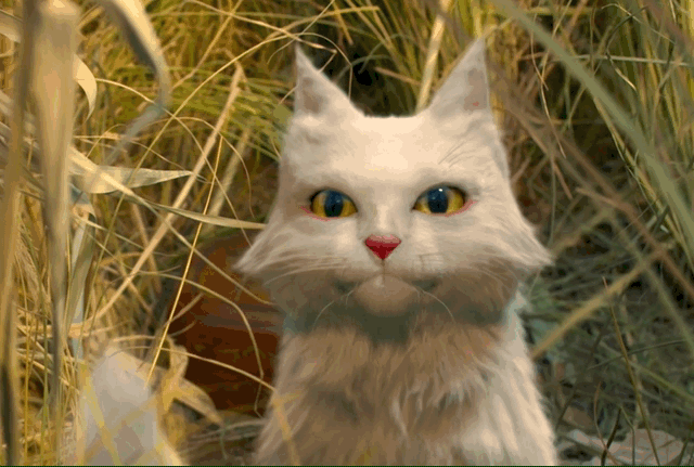 起猛了猫猫爆改神探丁禹兮新剧有点东西