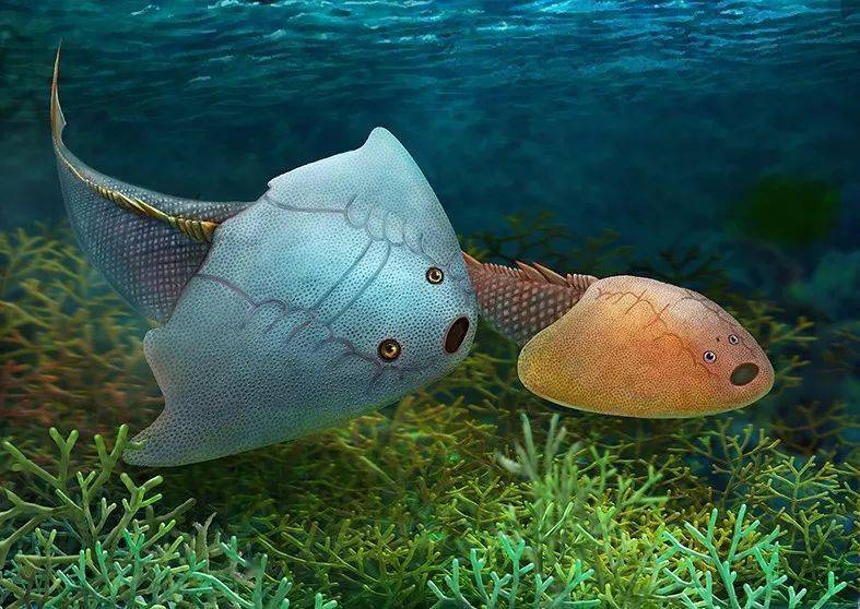 地球生命极简史生命总会自己找到出路三