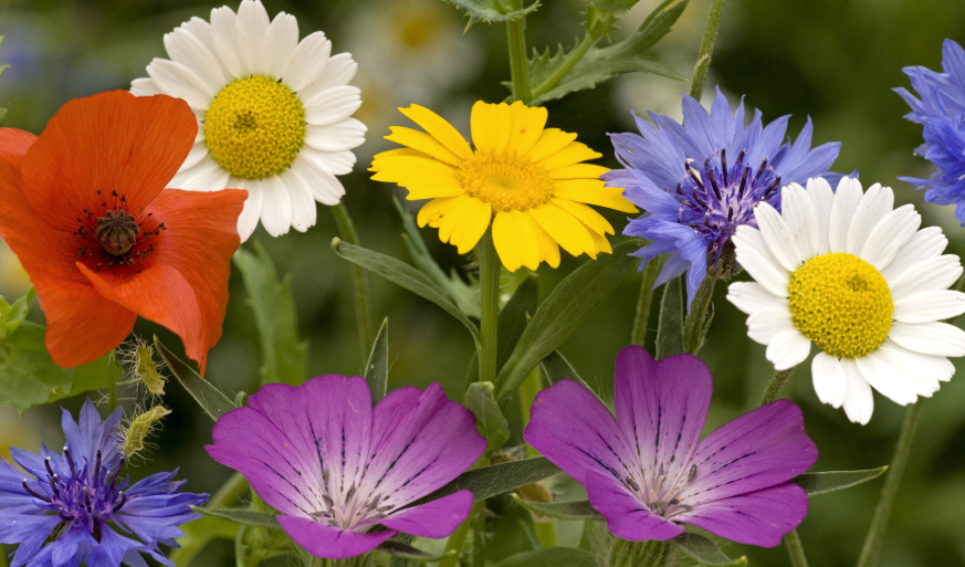 2011年那个放弃北大选择去读技校的青海学霸周浩如今怎样了