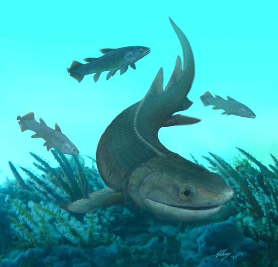 95亿年前,以真掌鳍鱼为代表的肉鳍鱼,它们的鱼鳍中有内骨骼,这种内