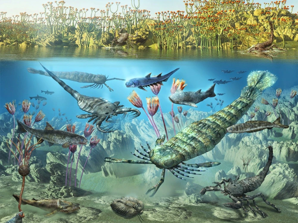 板足鲎是志留纪海洋的霸主随着鱼类的崛起,板足鲎逐渐衰落了,然而它的