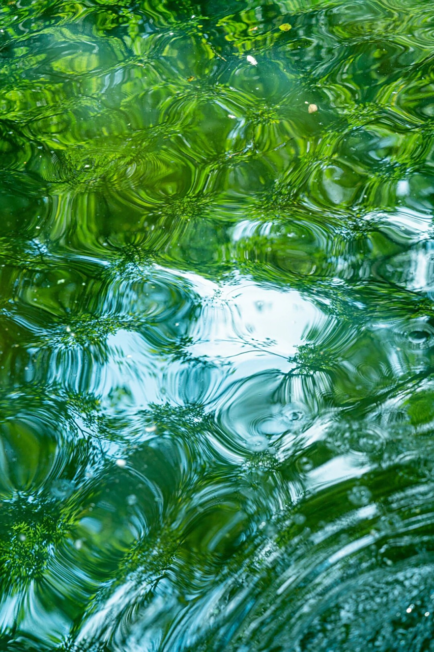 那些我拍到的绿色玻璃水面