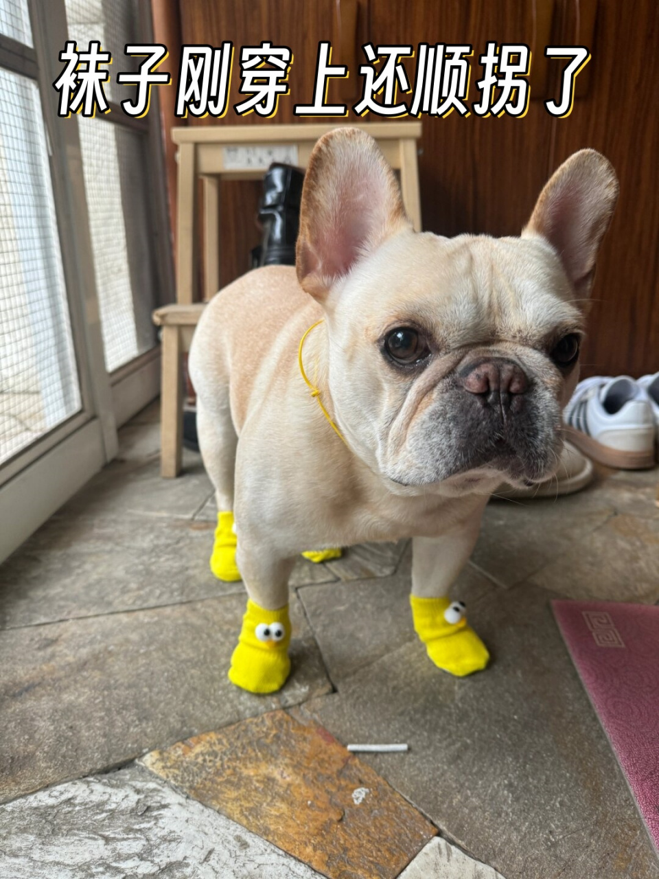 袜子刚穿上还顺拐了