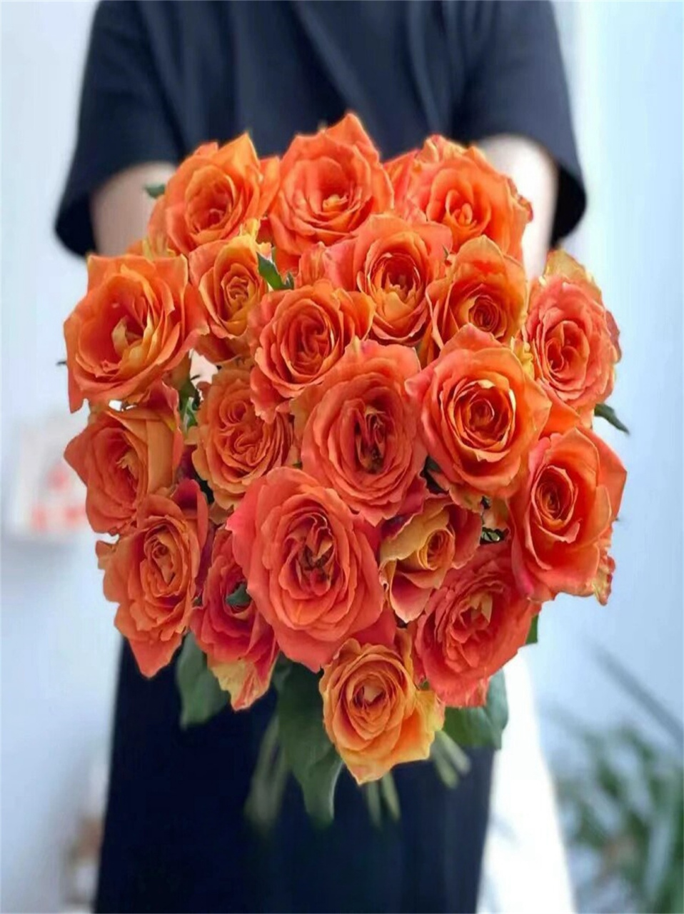 欢乐颂玫瑰泰美辣  96奥斯汀花型让它在水中绽放时,仿佛绽放的烟花