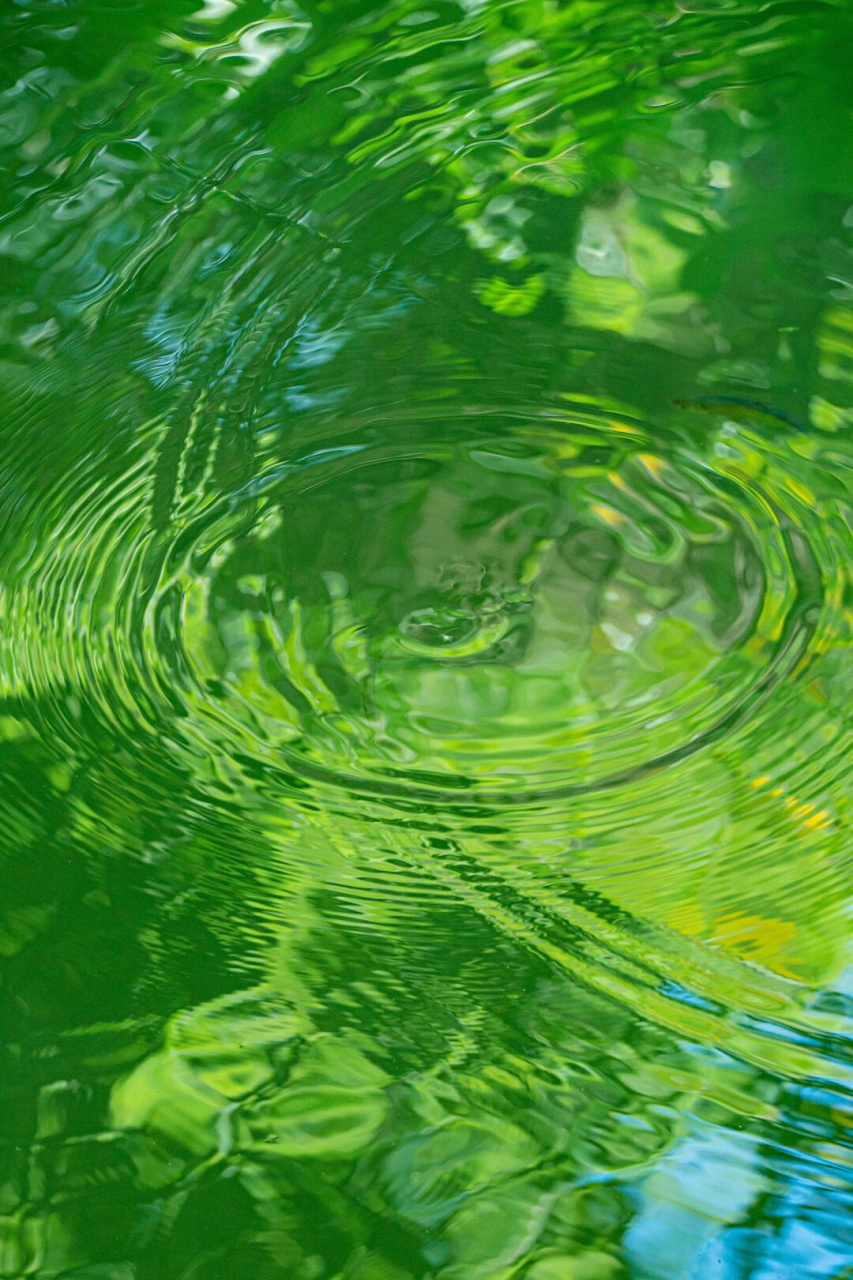 那些我拍到的绿色玻璃水面