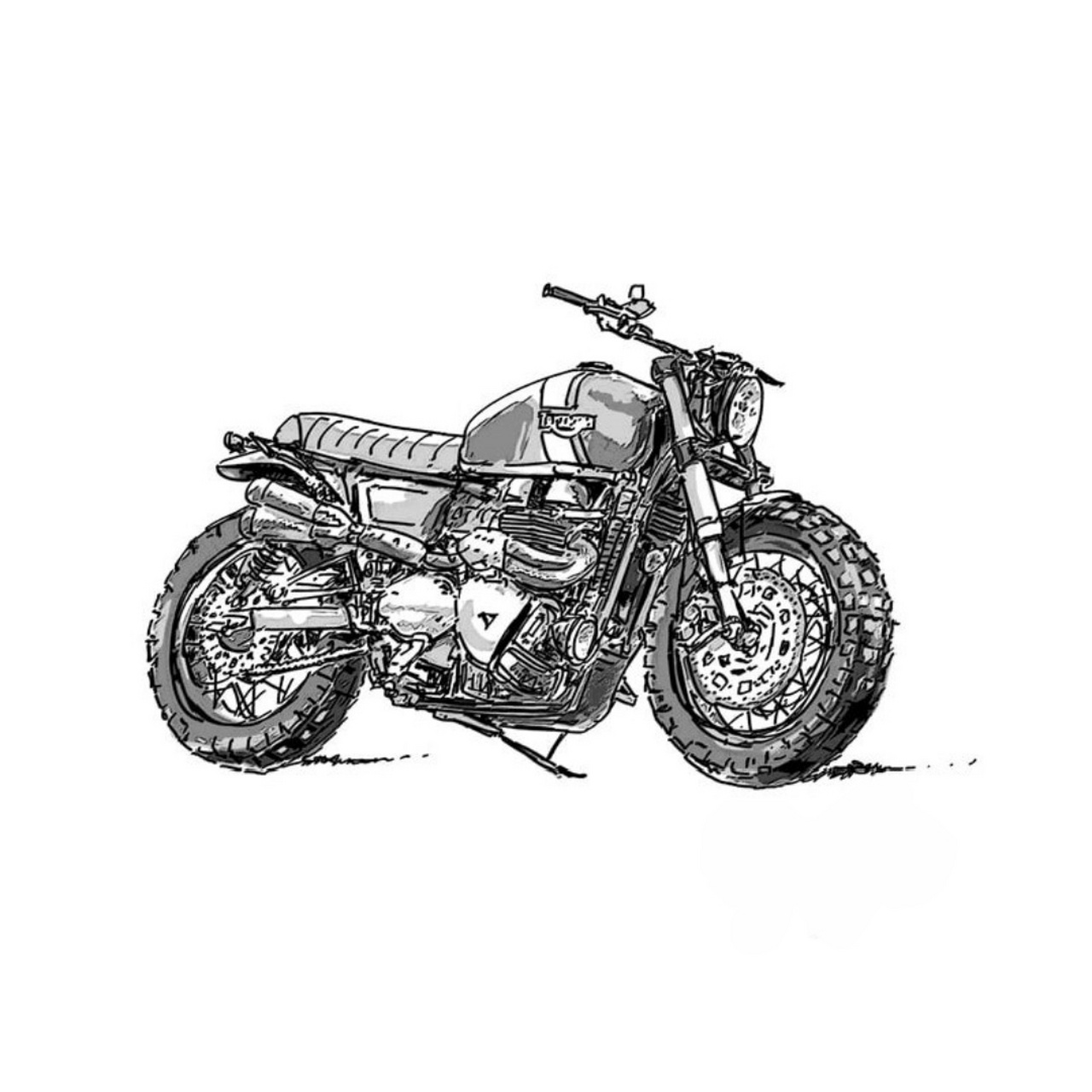 摩托车插画精选  32343934373234323134的魅力