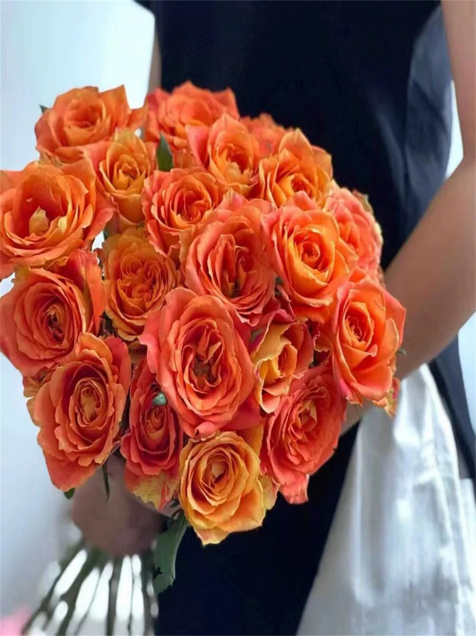 欢乐颂玫瑰泰美辣  96奥斯汀花型让它在水中绽放时,仿佛绽放的烟花