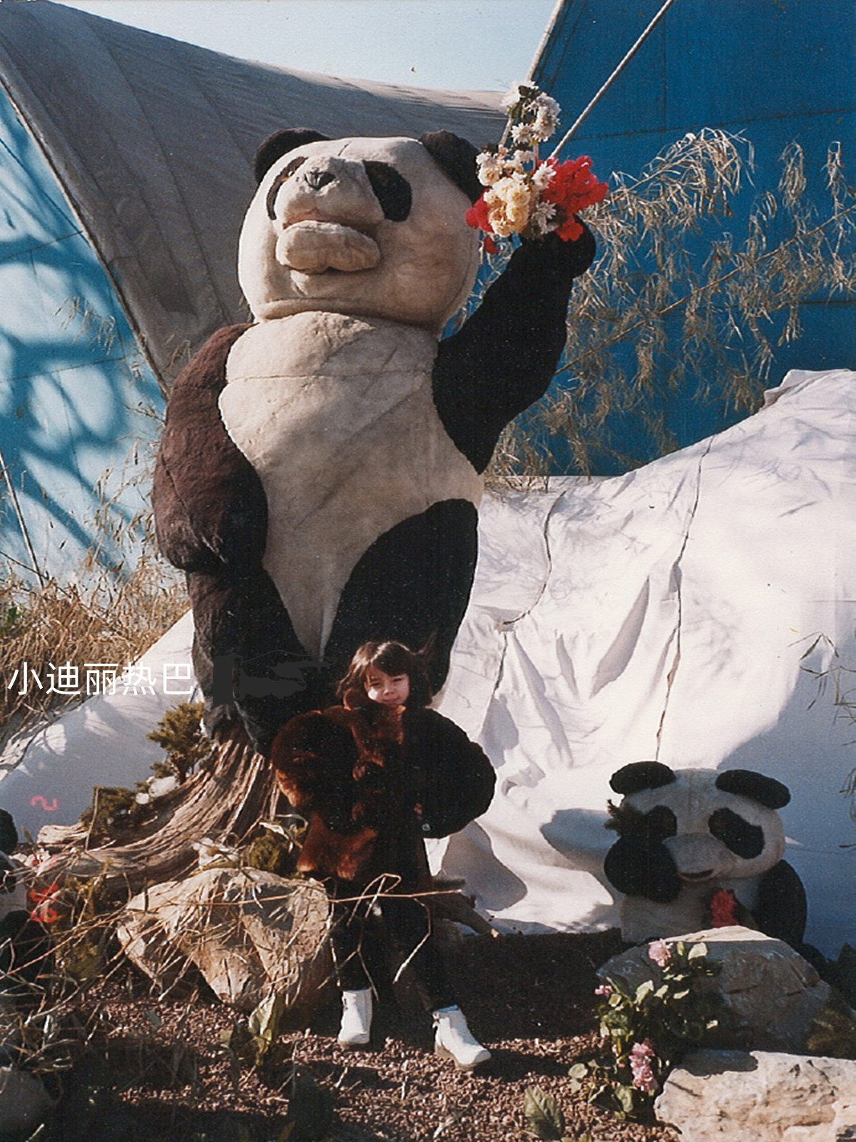 迪丽热巴妈妈想再养育一遍她!