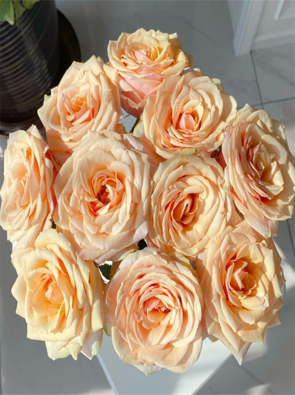 迪威娜玫瑰  迪威娜玫瑰95  花语:代表着优雅,温柔与幸福的爱93.