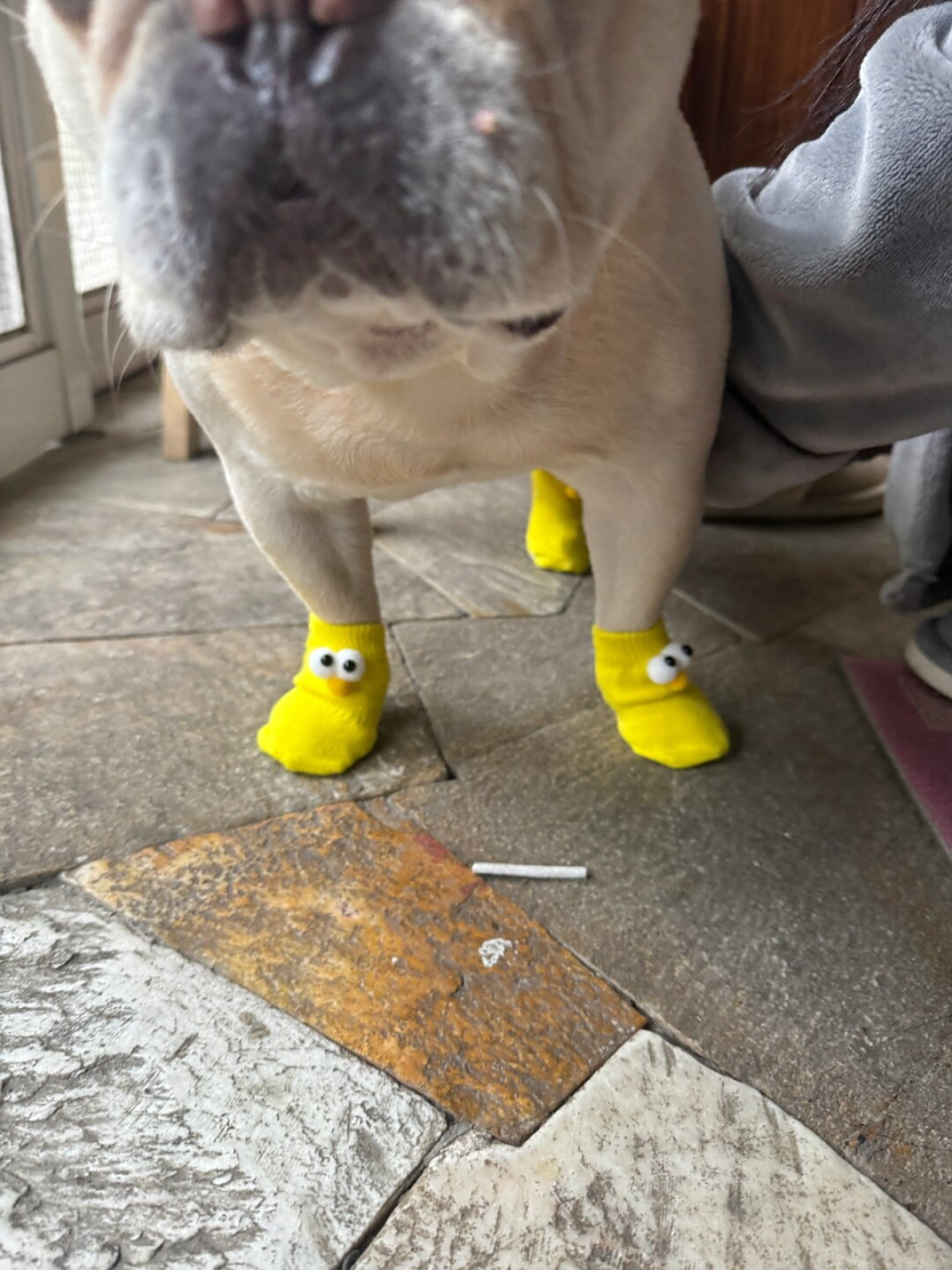 袜子刚穿上还顺拐了