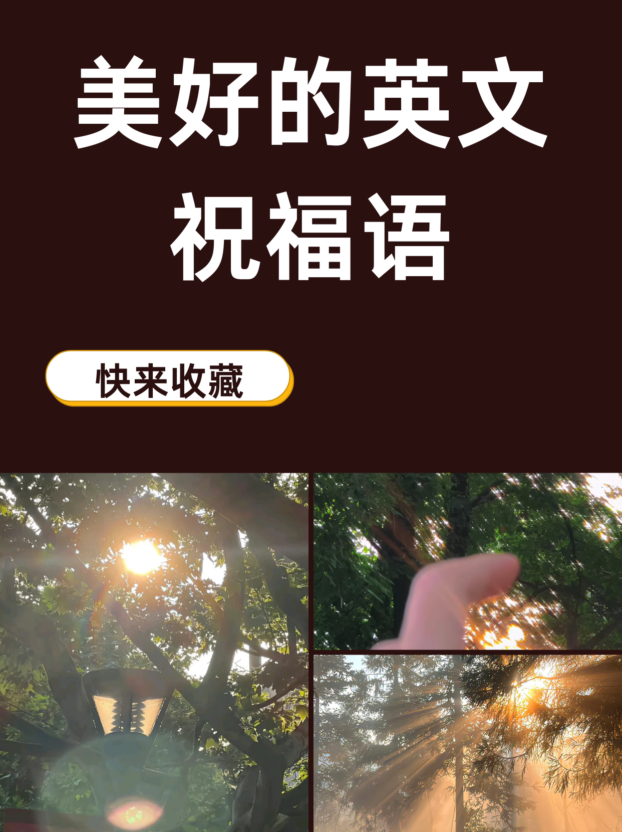 美好的祝福英语
  第2张 
美好的祝福英语
  第2张