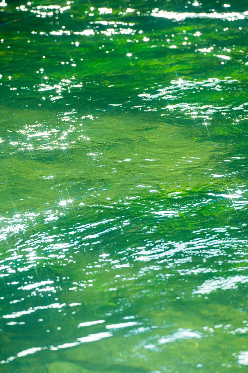 那些我拍到的绿色玻璃水面