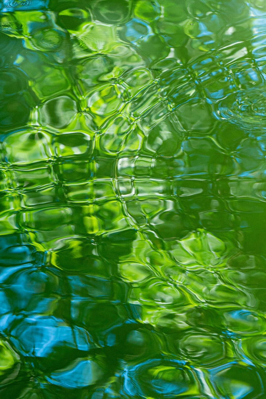 那些我拍到的绿色玻璃水面