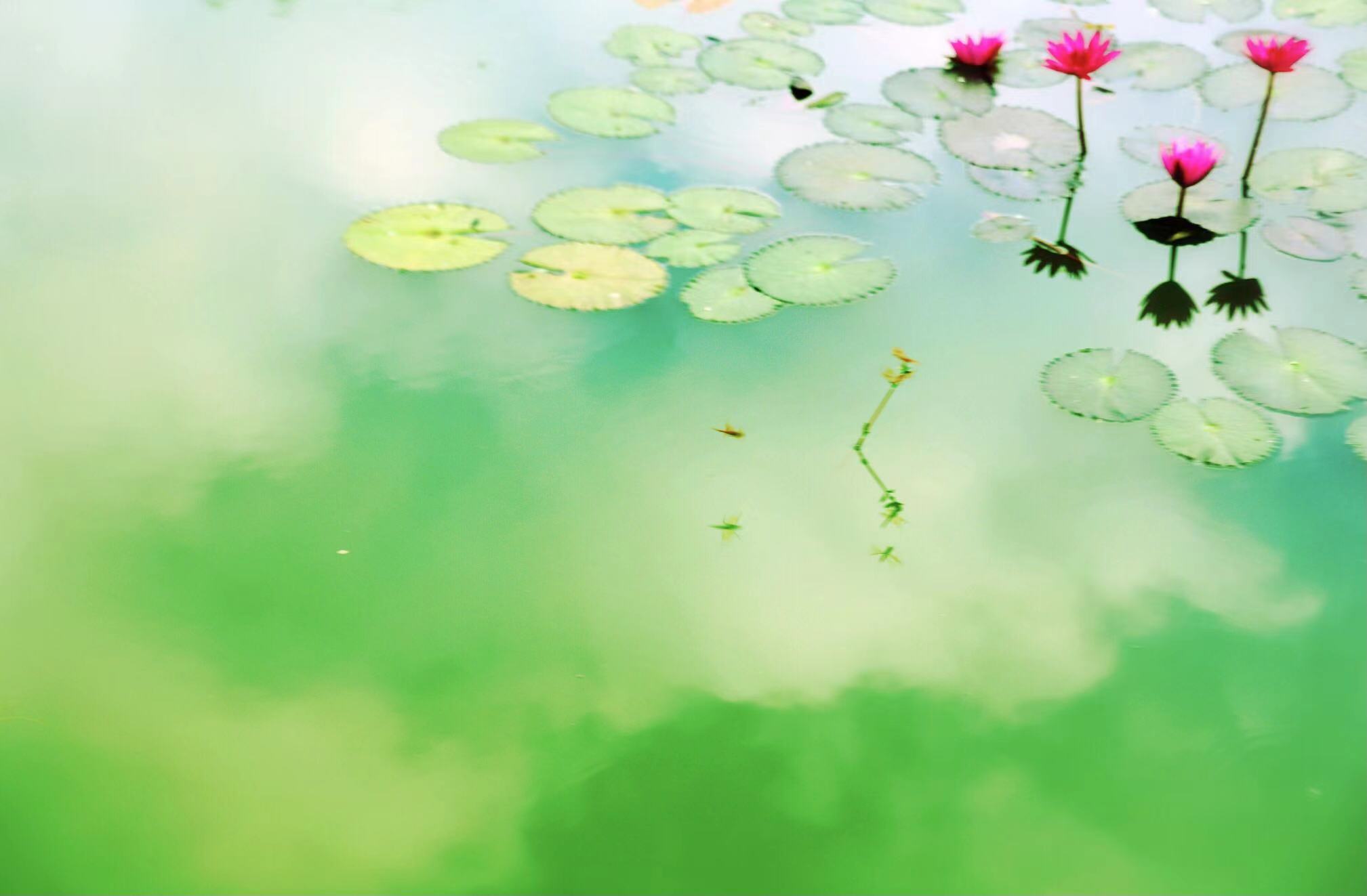 取舍有度,莫强求,享受得意人生