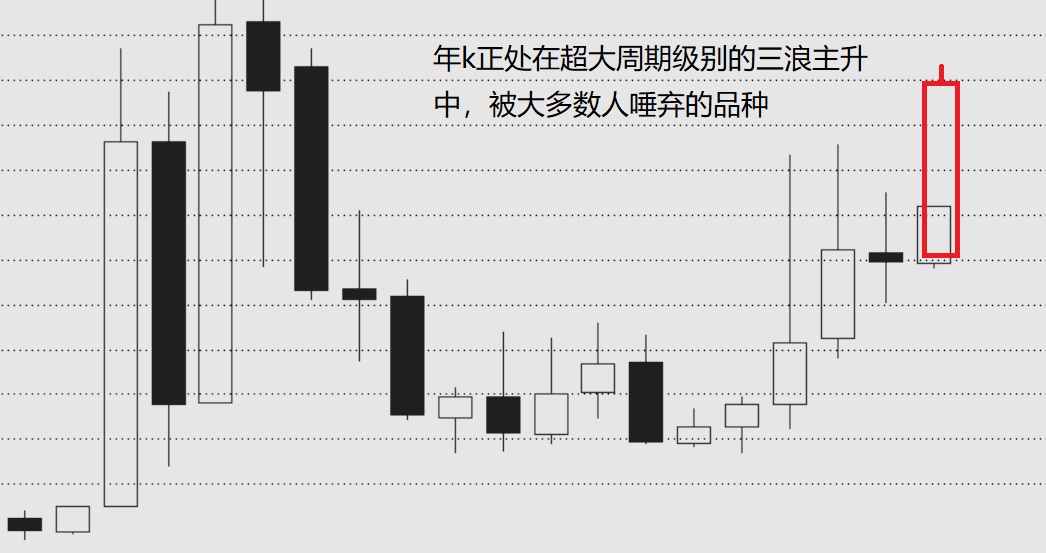 关于2024年大牛市要来了,买什么股票的信息