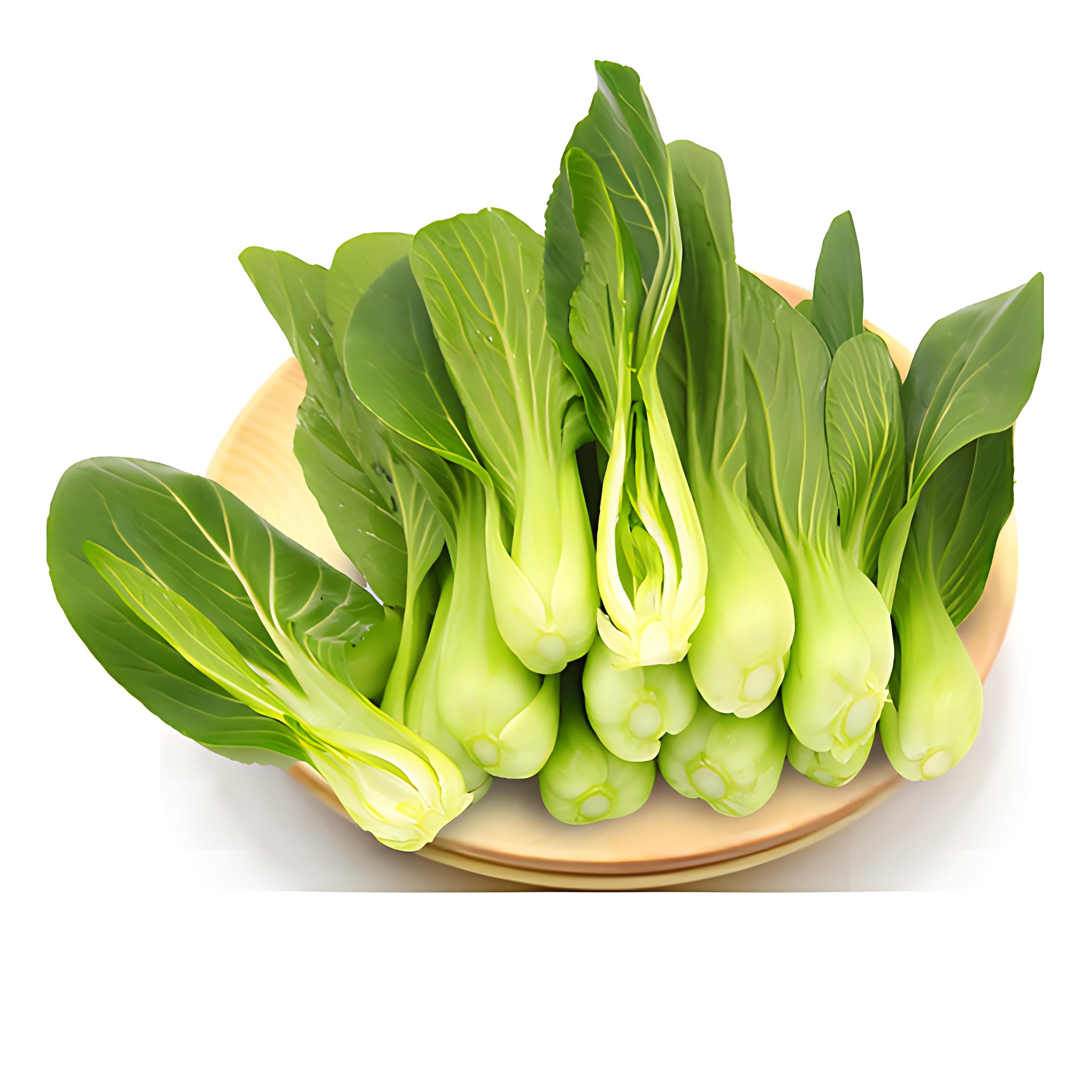 上海青适合几月种植,上海青有哪些品种?