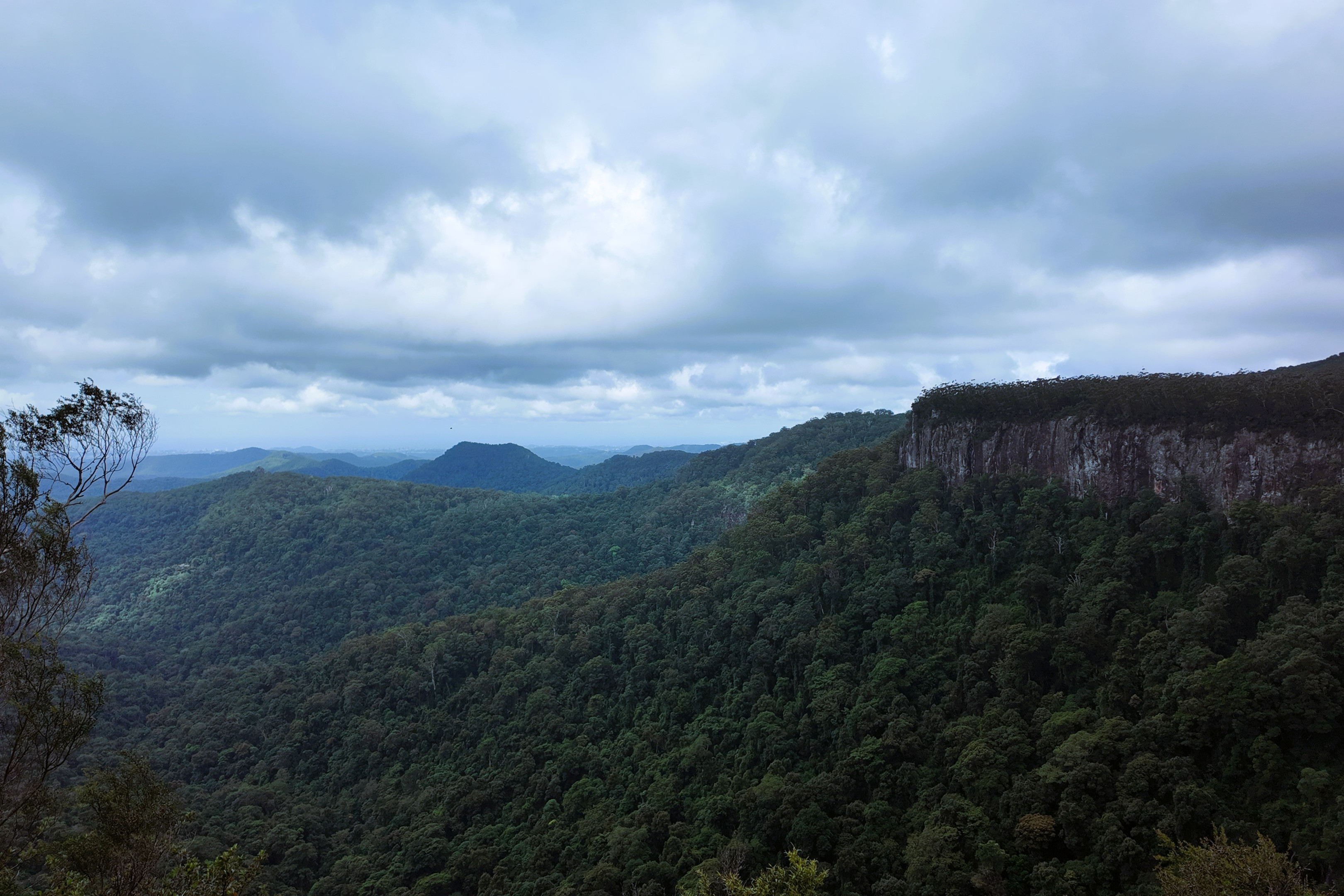 春溪国家公园是澳洲一处天然的绿色宝库,距离黄金海岸约40公里,免费