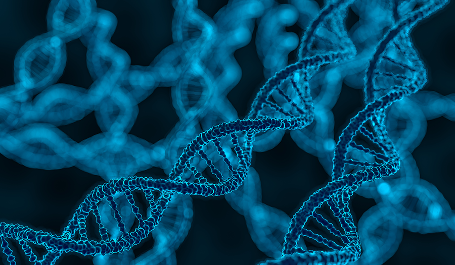 蛋白质组学:探索生命奥秘的关键技术!