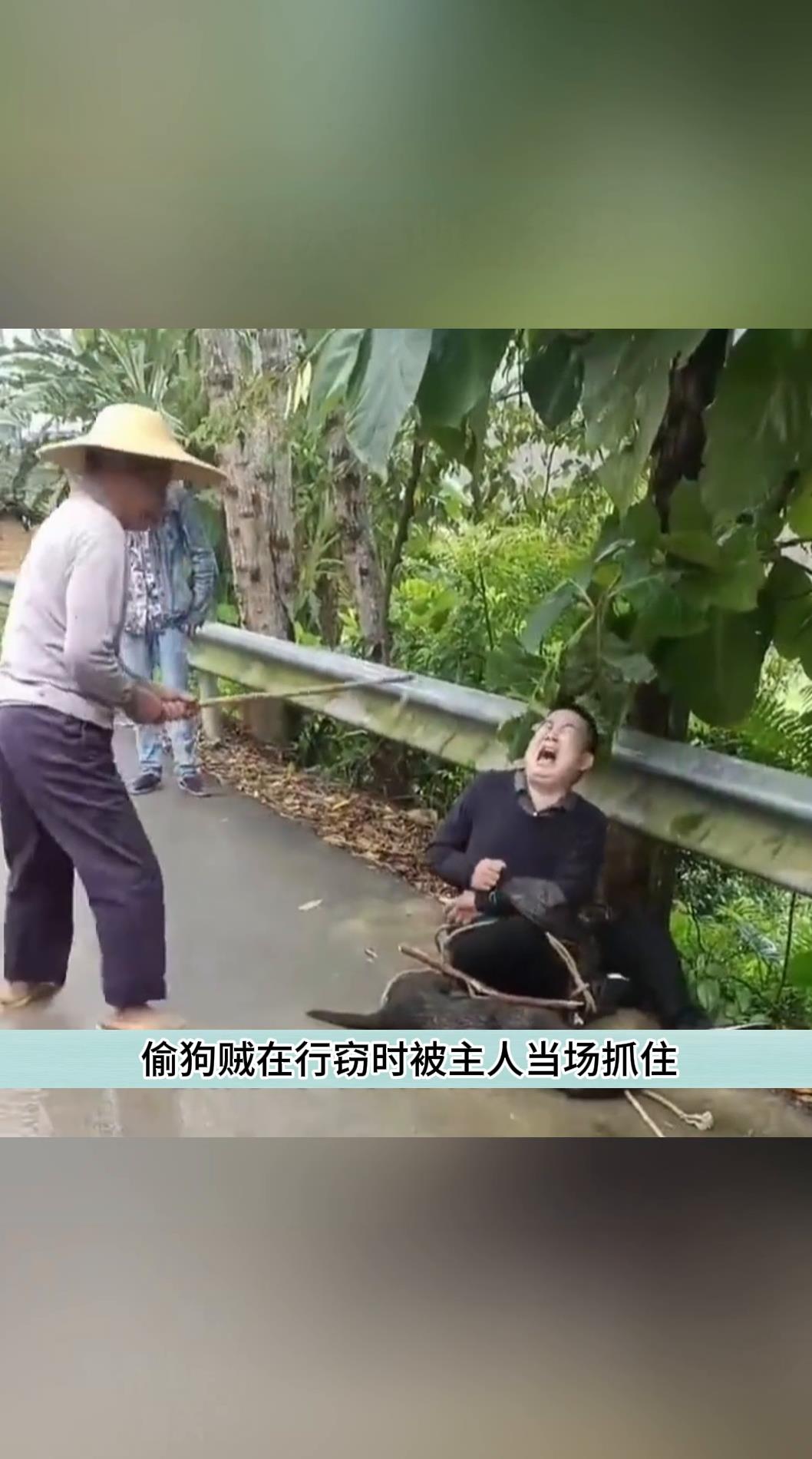 偷狗贼被抓到后竟被主人暴打
