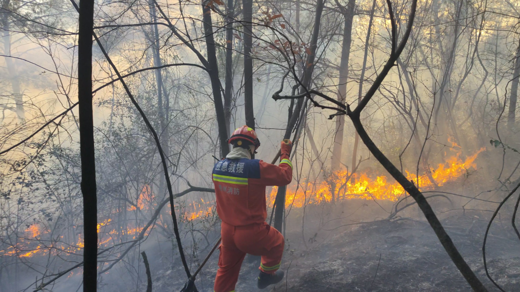 上坟祭祖禁止烧香烧纸放炮,能解决贵州山火频发问题吗?