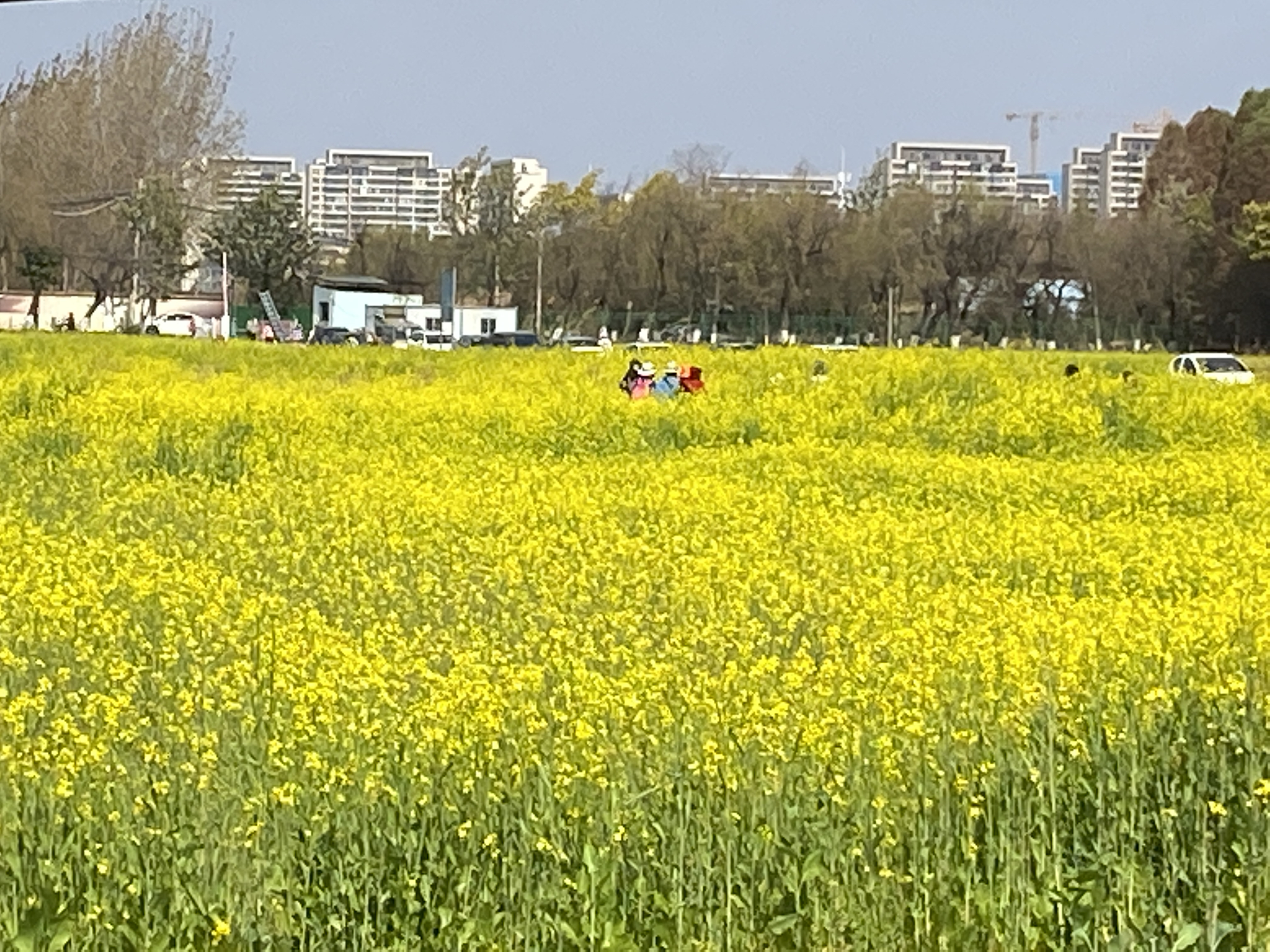 呈贡江尾村图片