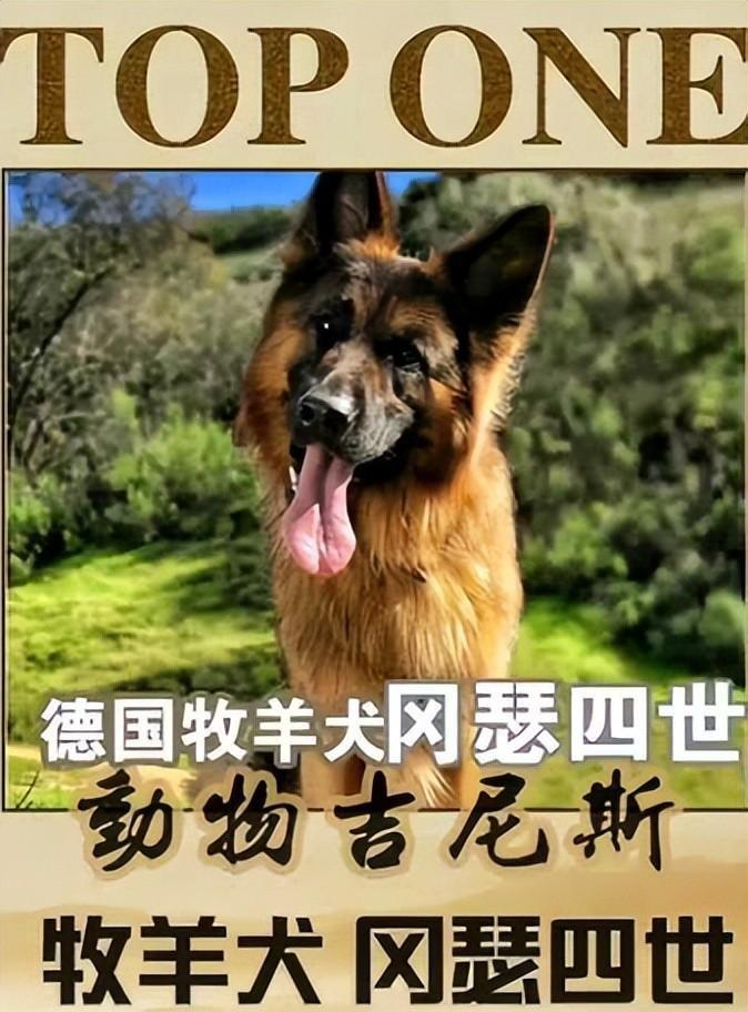 "过着令人羡慕的生活,但咱们也不能忘了它的主人——那位奥地利女伯爵