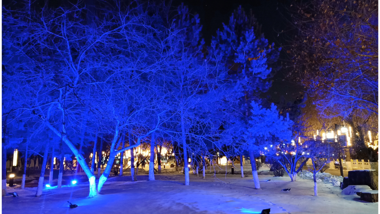 雪后的夜晚图片图片