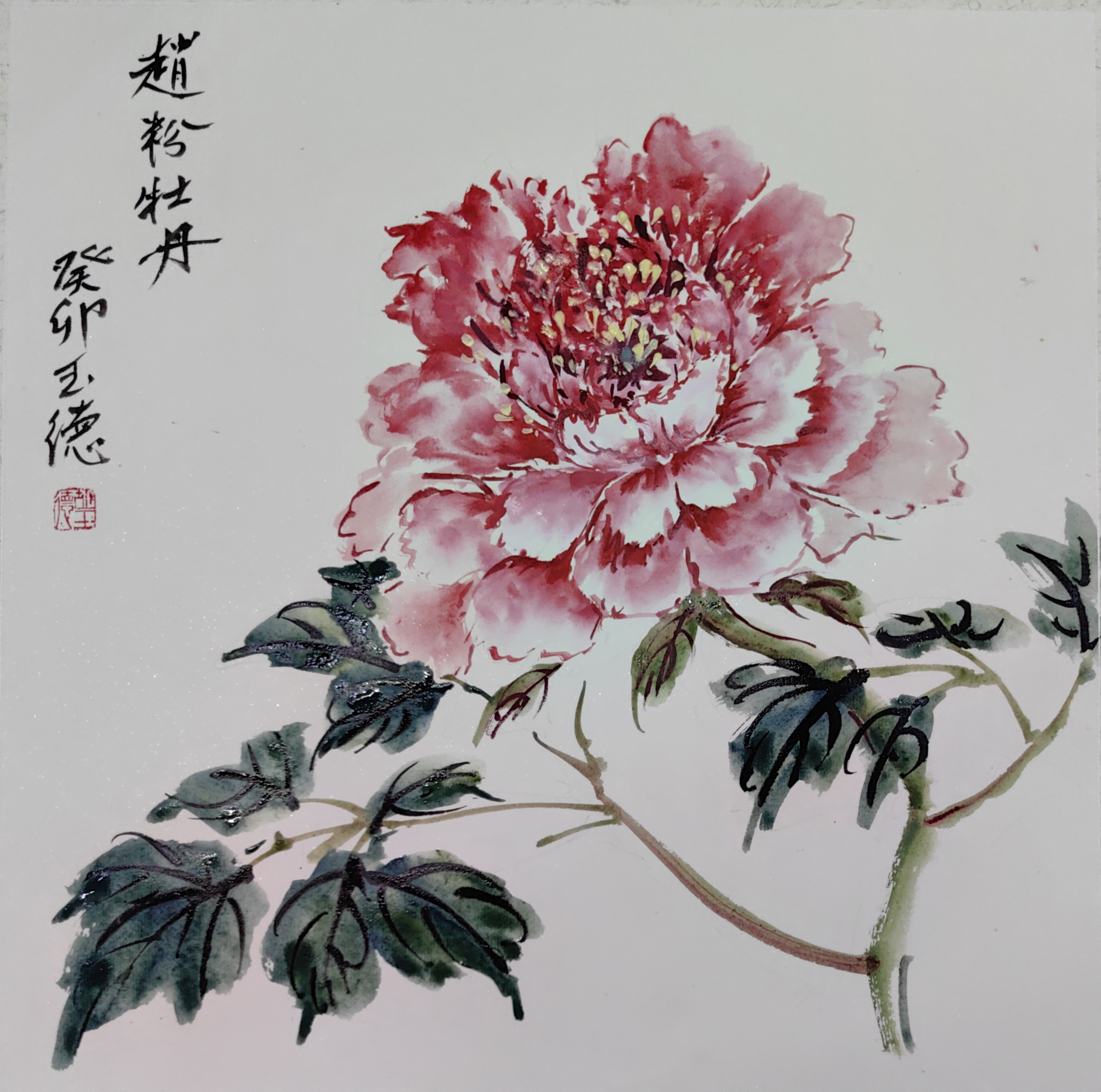 国画李苦禅经典牡丹作品欣赏画家李素琴牡丹作品图片范治斌写意牡丹