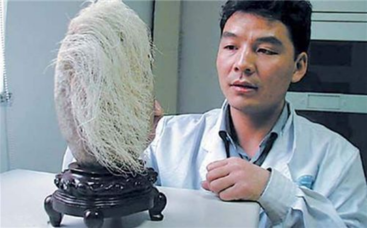 87年辽宁男子买下白发奇石花了18万元专家发现新物种