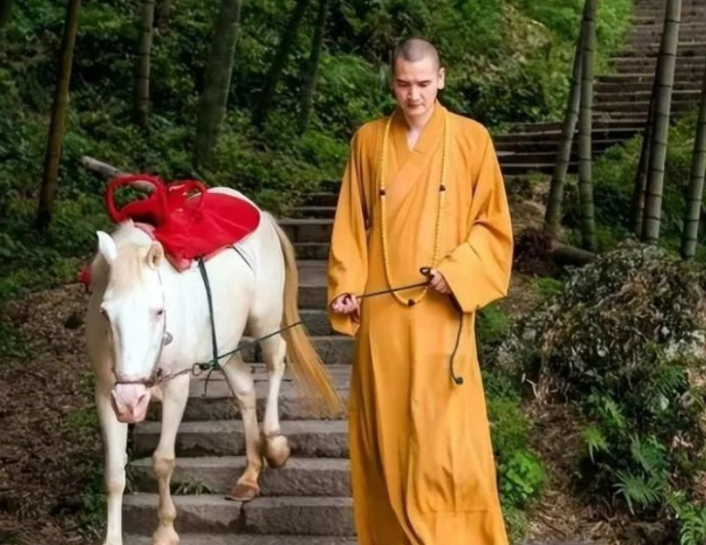 回顾帅和尚释明心29岁铁饭碗辞职出家富婆送豪车求婚