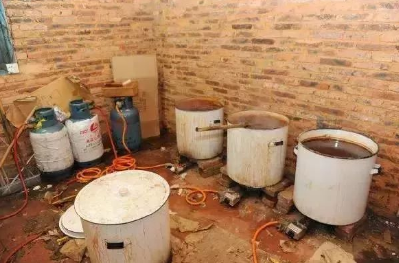 回顾关东第一毒枭被捕29岁自学制毒高考志愿是做警察