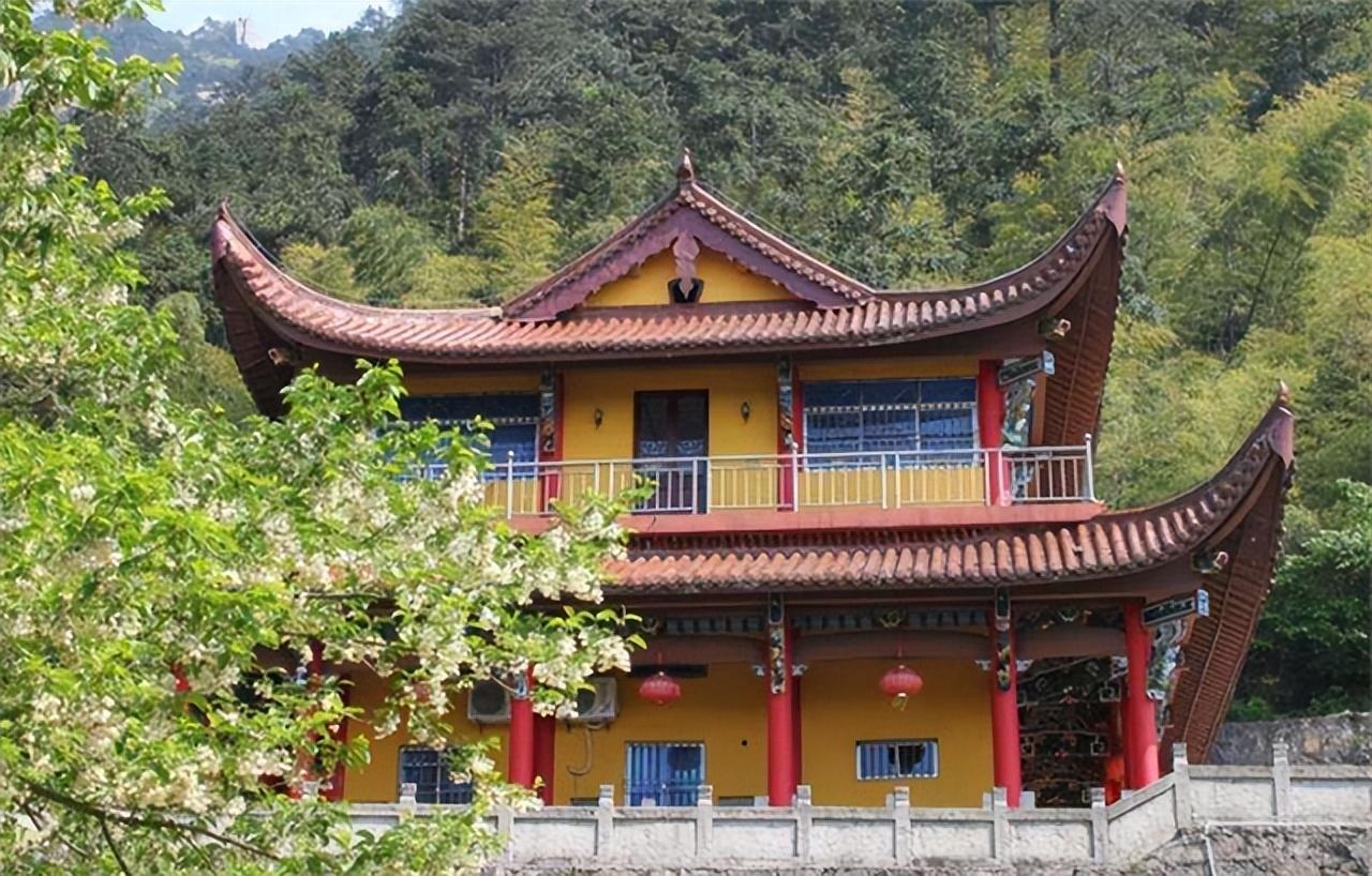 2008年双一流名校女大学生削发为尼父母竟持支持态度