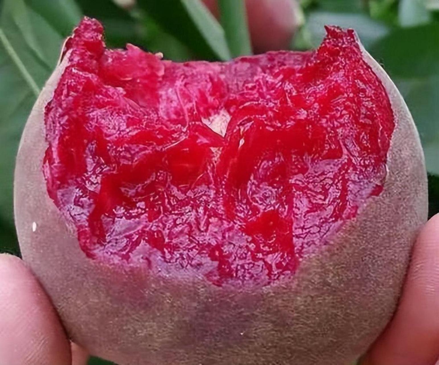 [原文:"黑桃皇后",好吃