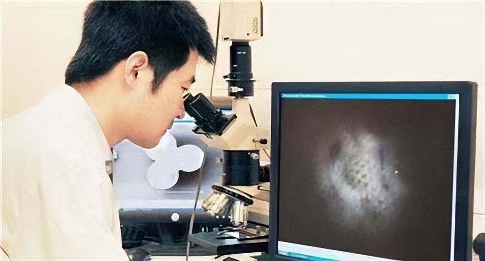 87年辽宁男子买下白发奇石花了18万元专家发现新物种