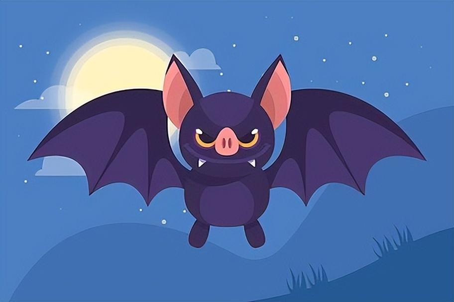 人类的好朋友——猫