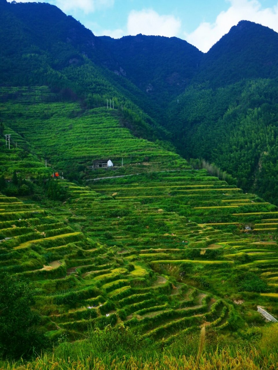 秘境浙江景宁|云中大漈 -小佐村  90探秘云中大漈:浙江海拔之巅的
