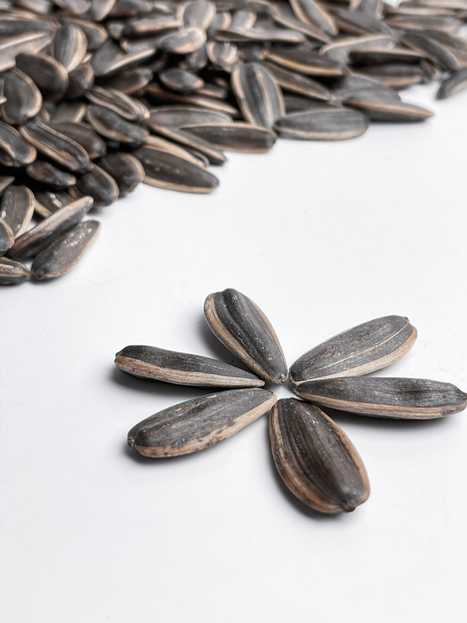 静物摄影:宅家必备零食之香瓜子