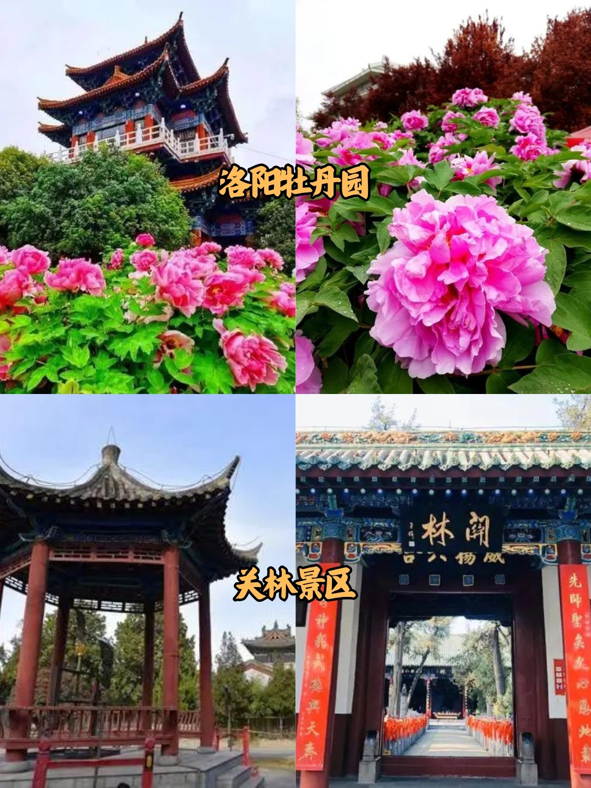 洛阳旅游必去十大景点图片