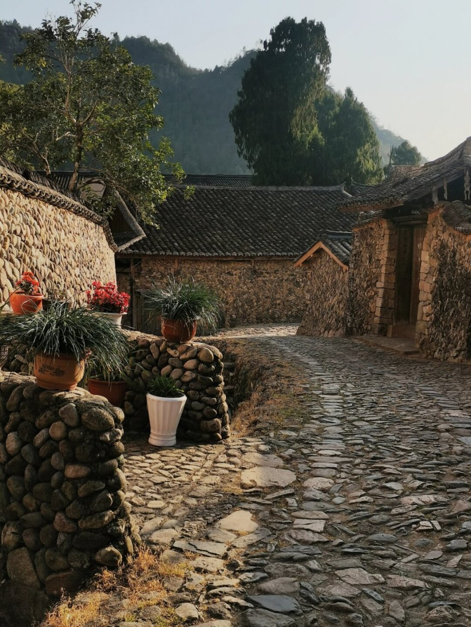 泰顺 | 千年古村落,隐世石头村  91在浙江省温州市泰顺县南浦溪镇